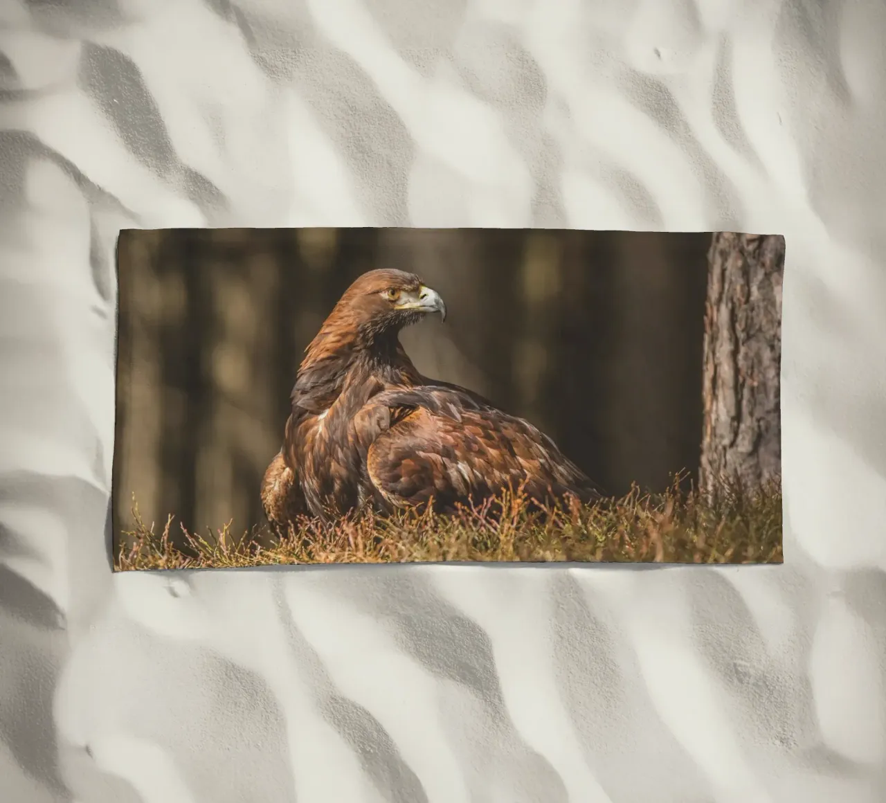 Golden Eagle telo mare da Dave Hare Photography