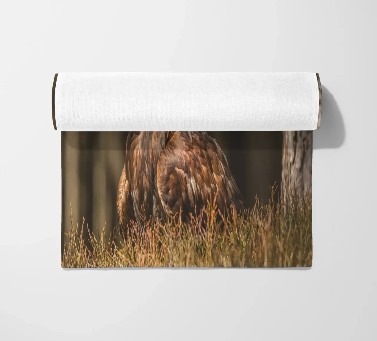 Golden Eagle telo mare da Dave Hare Photography