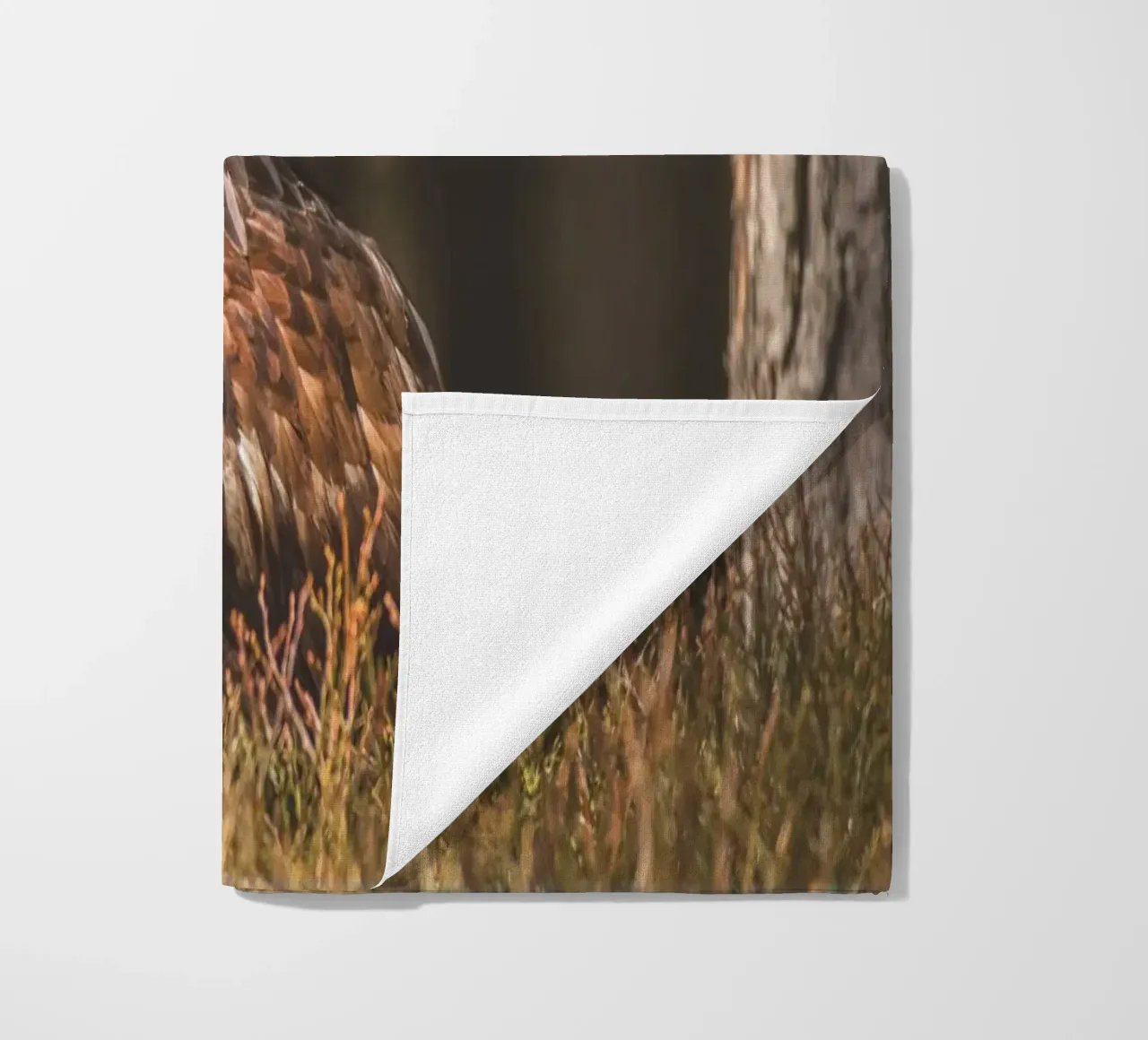 Golden Eagle telo mare da Dave Hare Photography