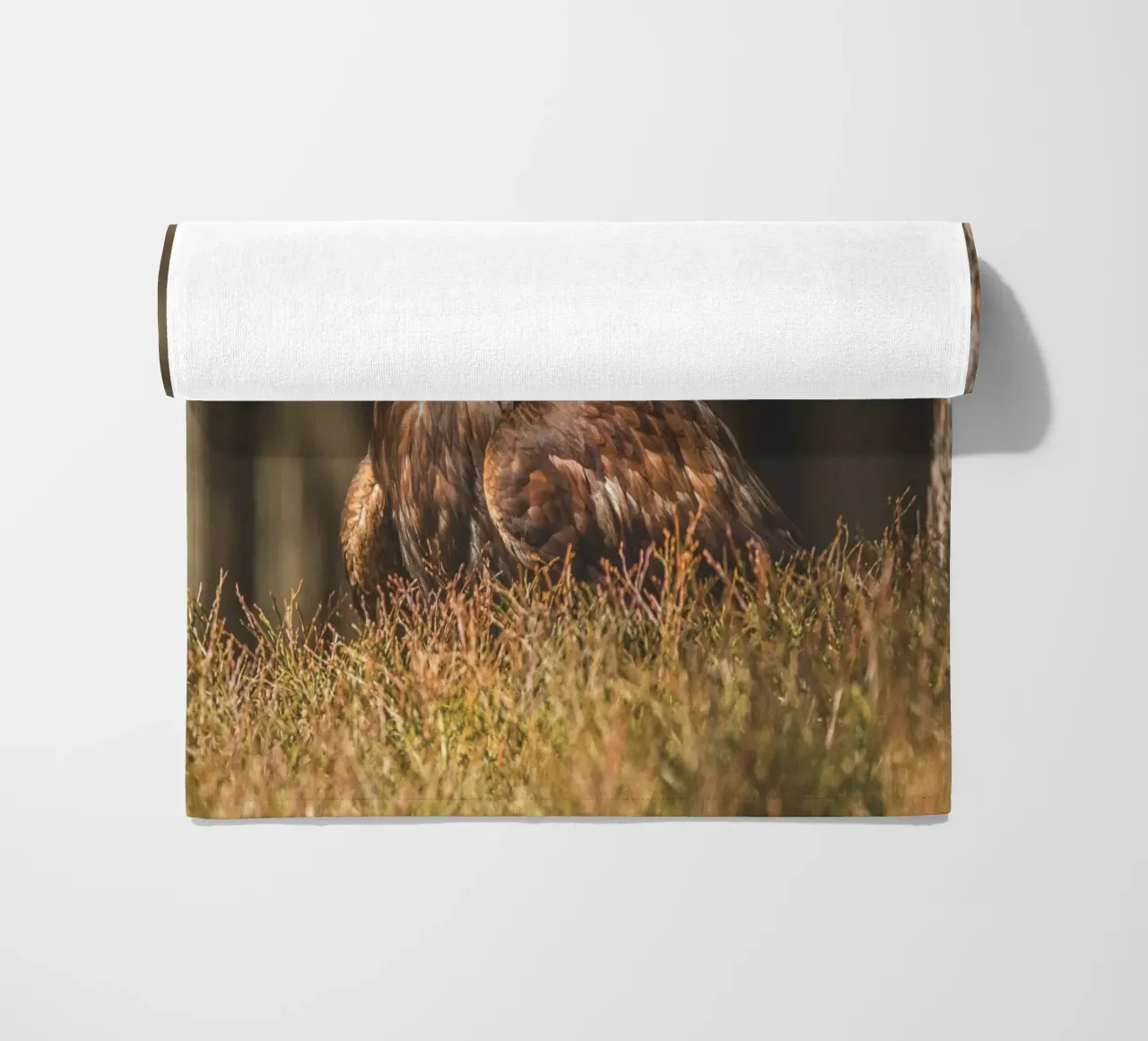 Golden Eagle telo mare da Dave Hare Photography