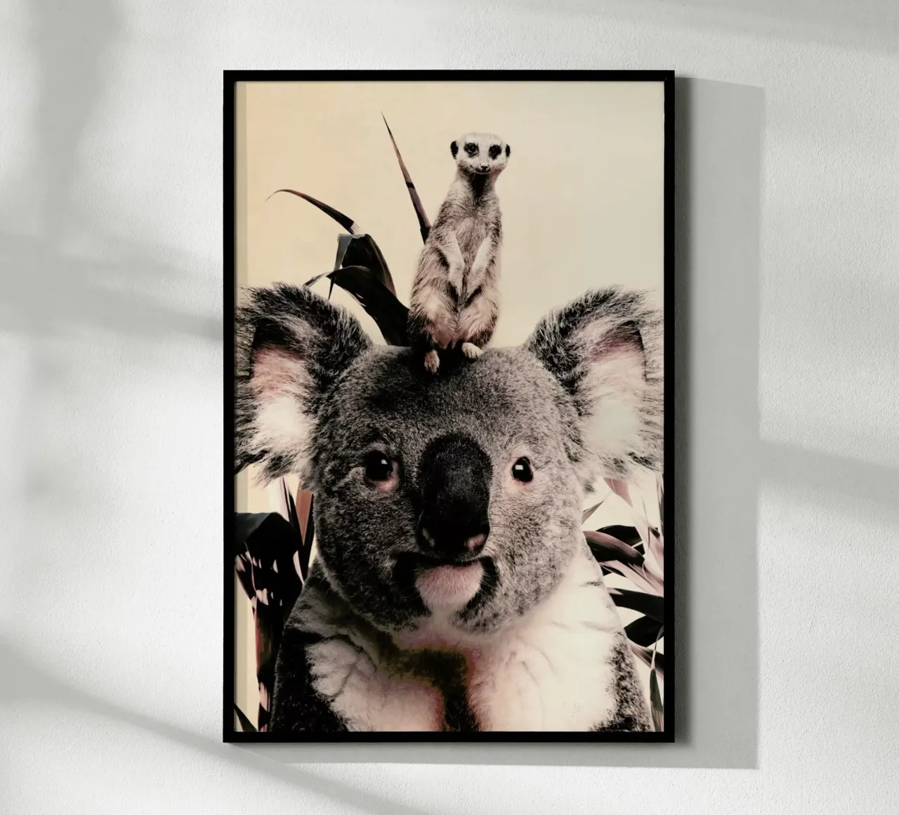 Koala Meerkat Dreamteam carta hahnemühle da Wouter Rikken