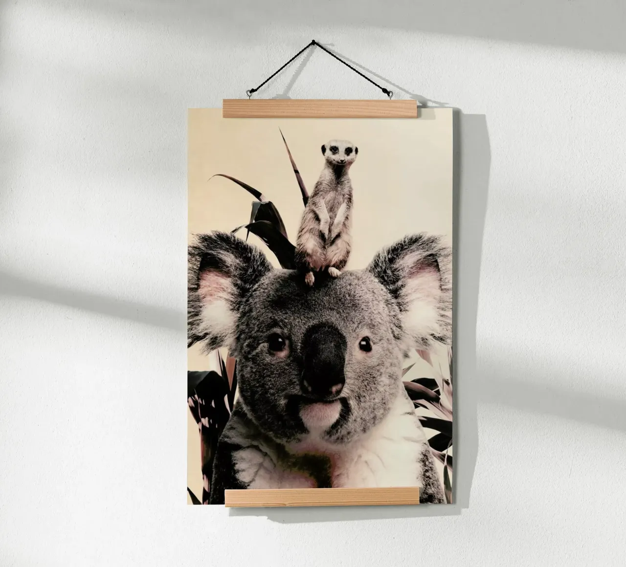 Koala Meerkat Dreamteam carta hahnemühle da Wouter Rikken