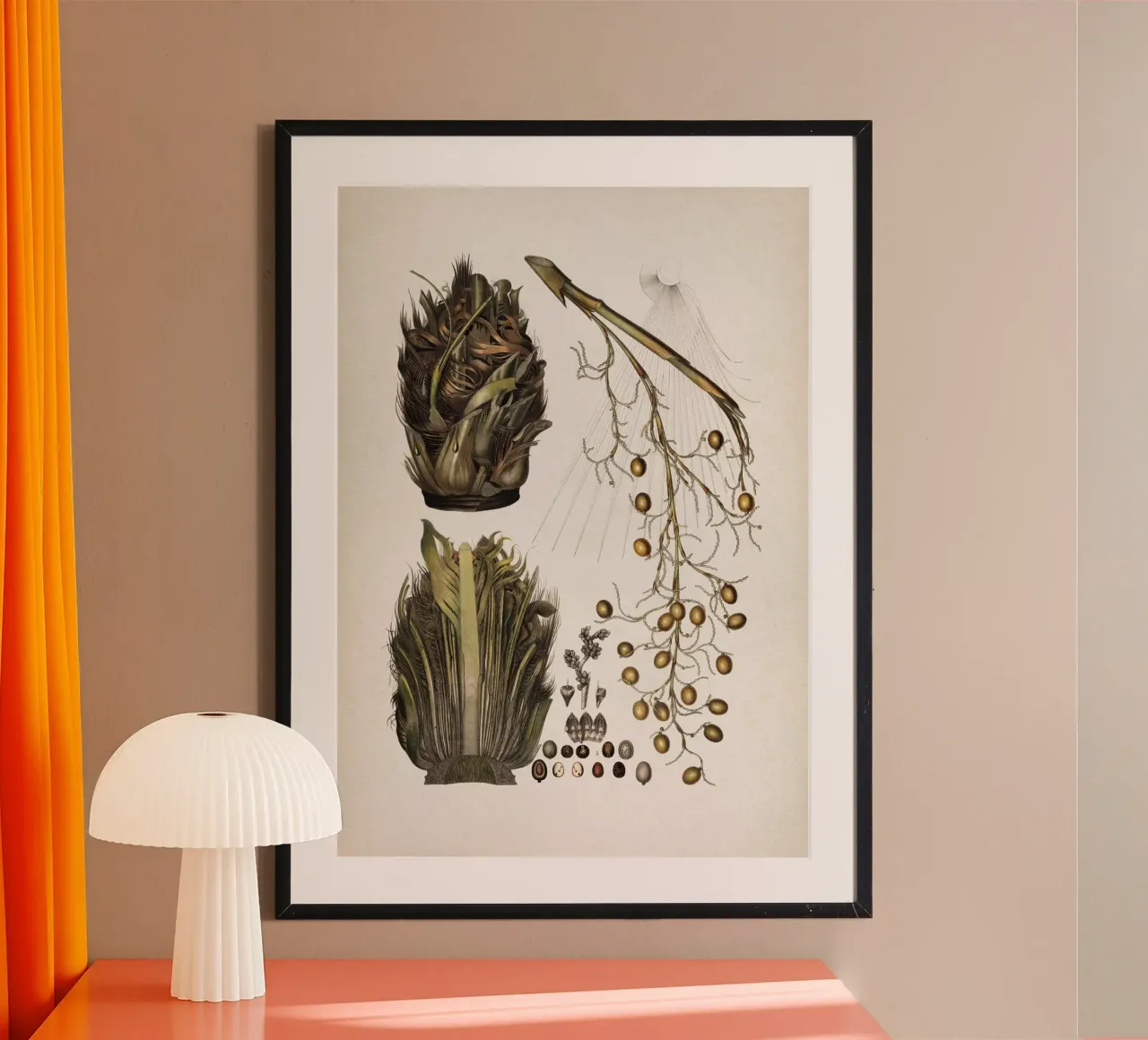 Vintage Martius 5 Cocos Copernicia poster con telaio in plastica da Vintage Print Collection