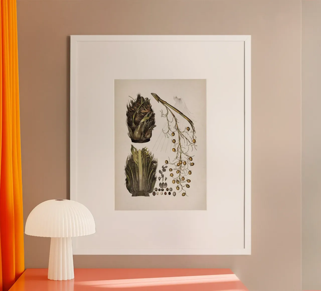Vintage Martius 5 Cocos Copernicia poster con telaio in plastica da Vintage Print Collection