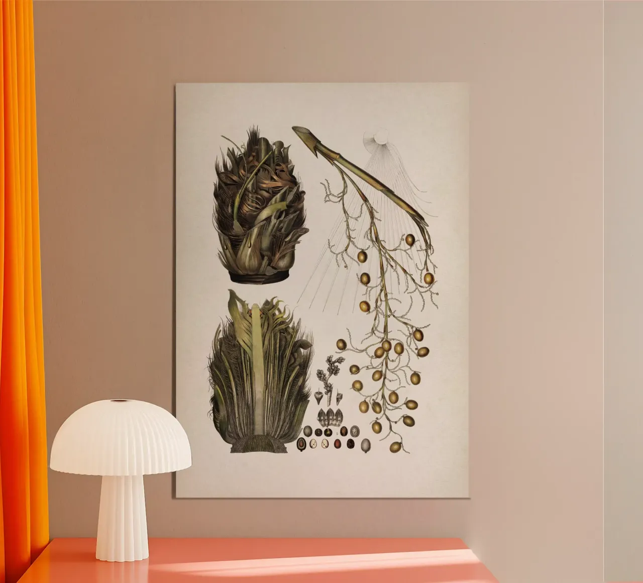 Vintage Martius 5 Cocos Copernicia poster con telaio in plastica da Vintage Print Collection