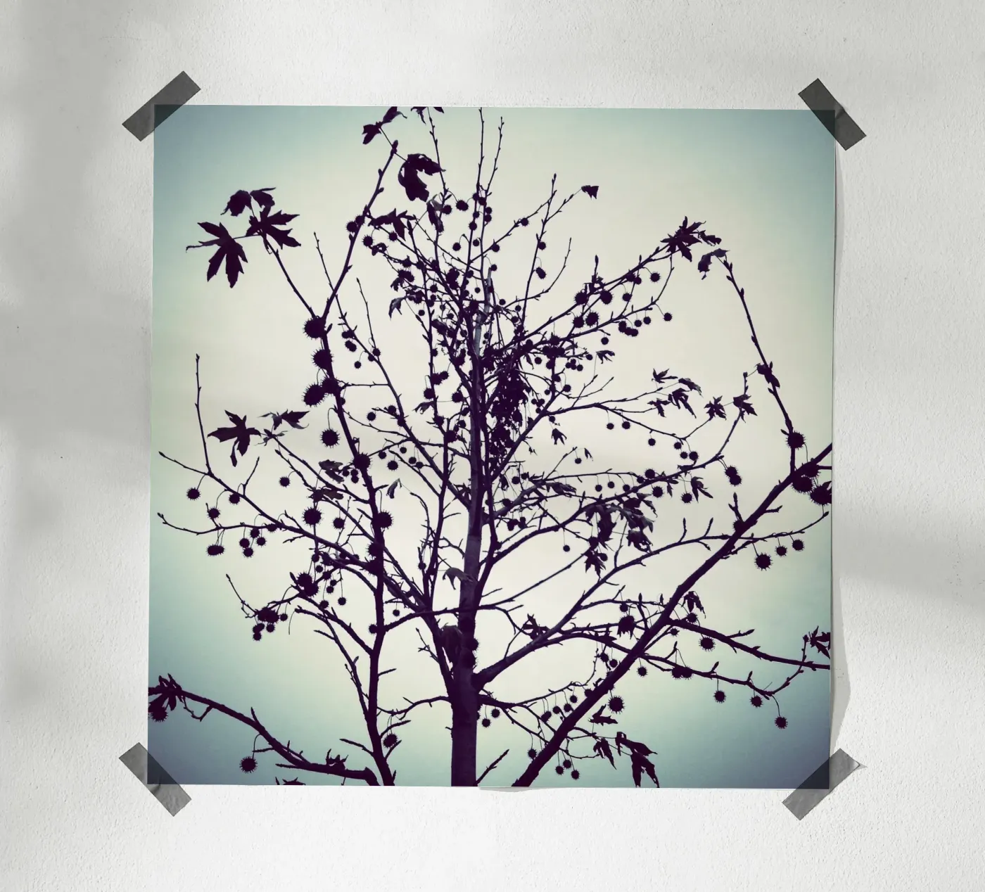 Hope Tree poster by KISSA STUDIO