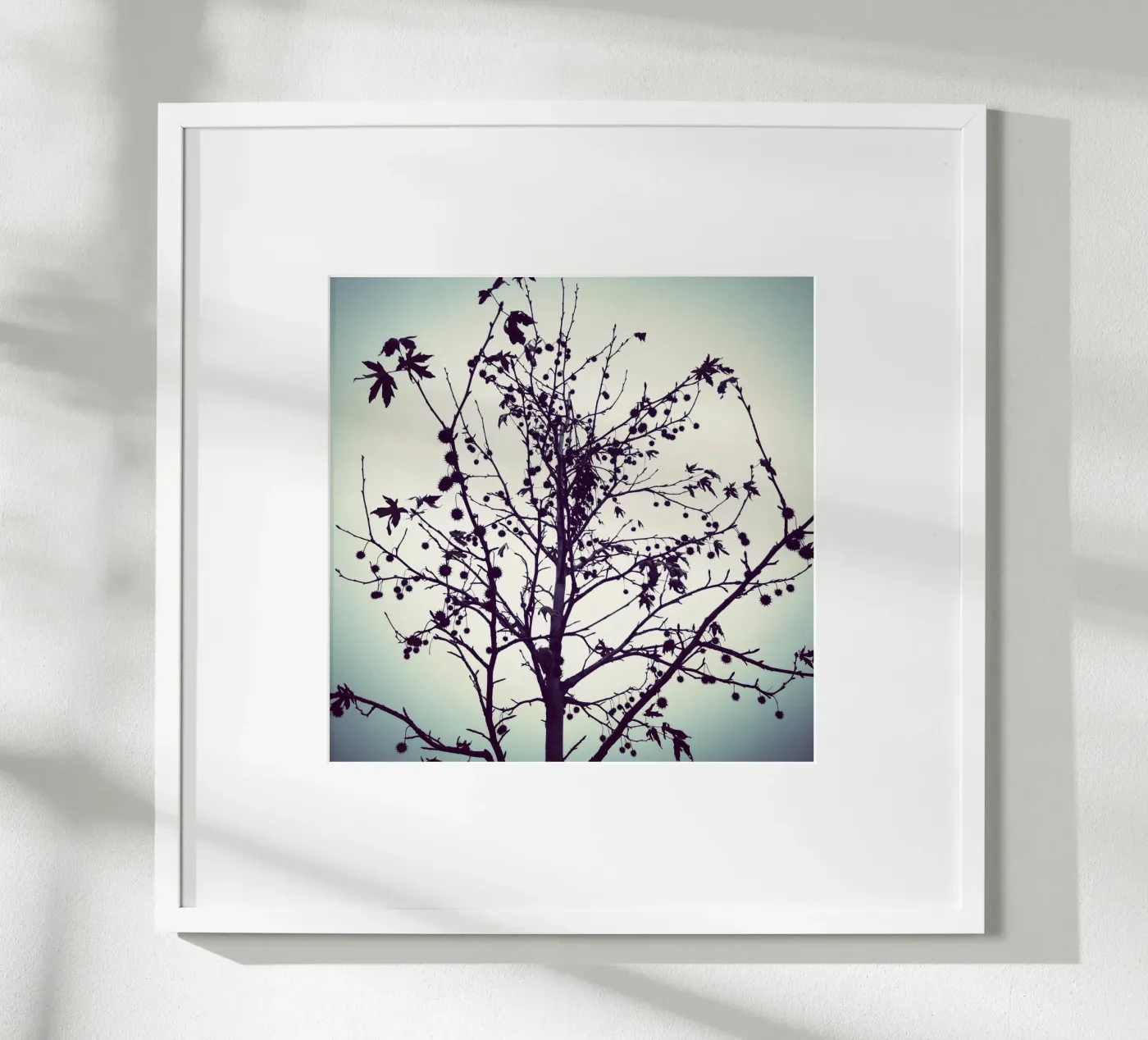 Hope Tree poster by KISSA STUDIO
