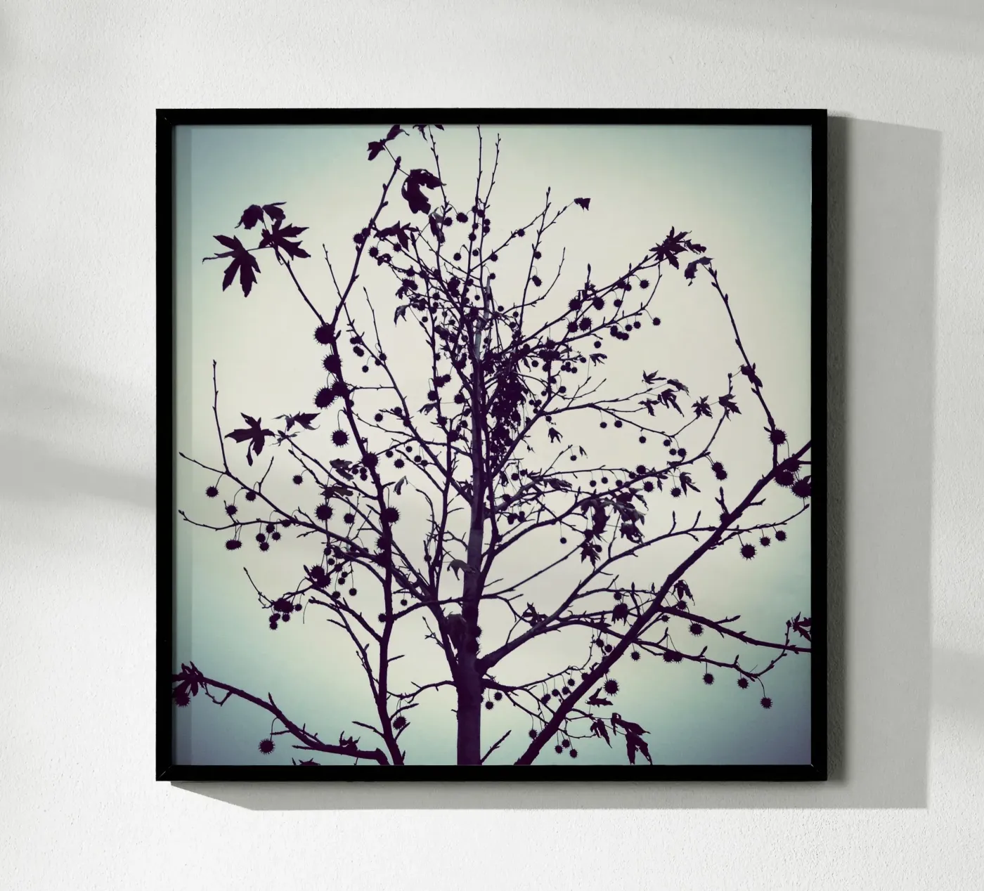 Hope Tree poster by KISSA STUDIO