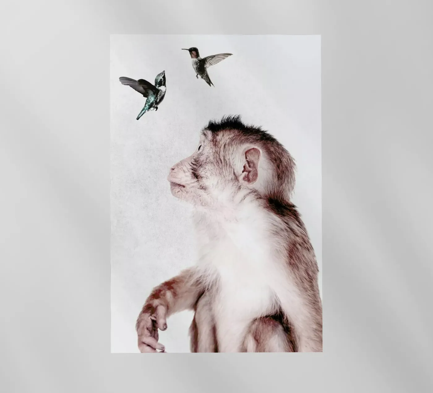 Little Monkey pellicola backlit da Wouter Rikken