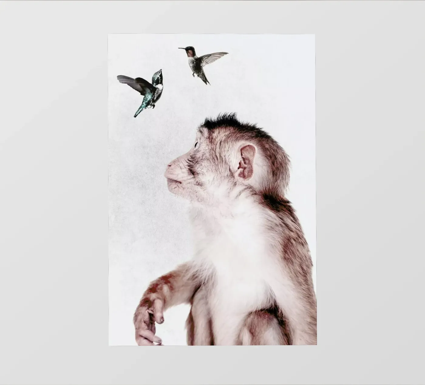 Little Monkey pellicola backlit da Wouter Rikken