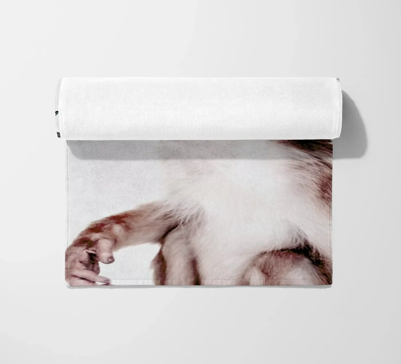 Little Monkey telo mare da Wouter Rikken