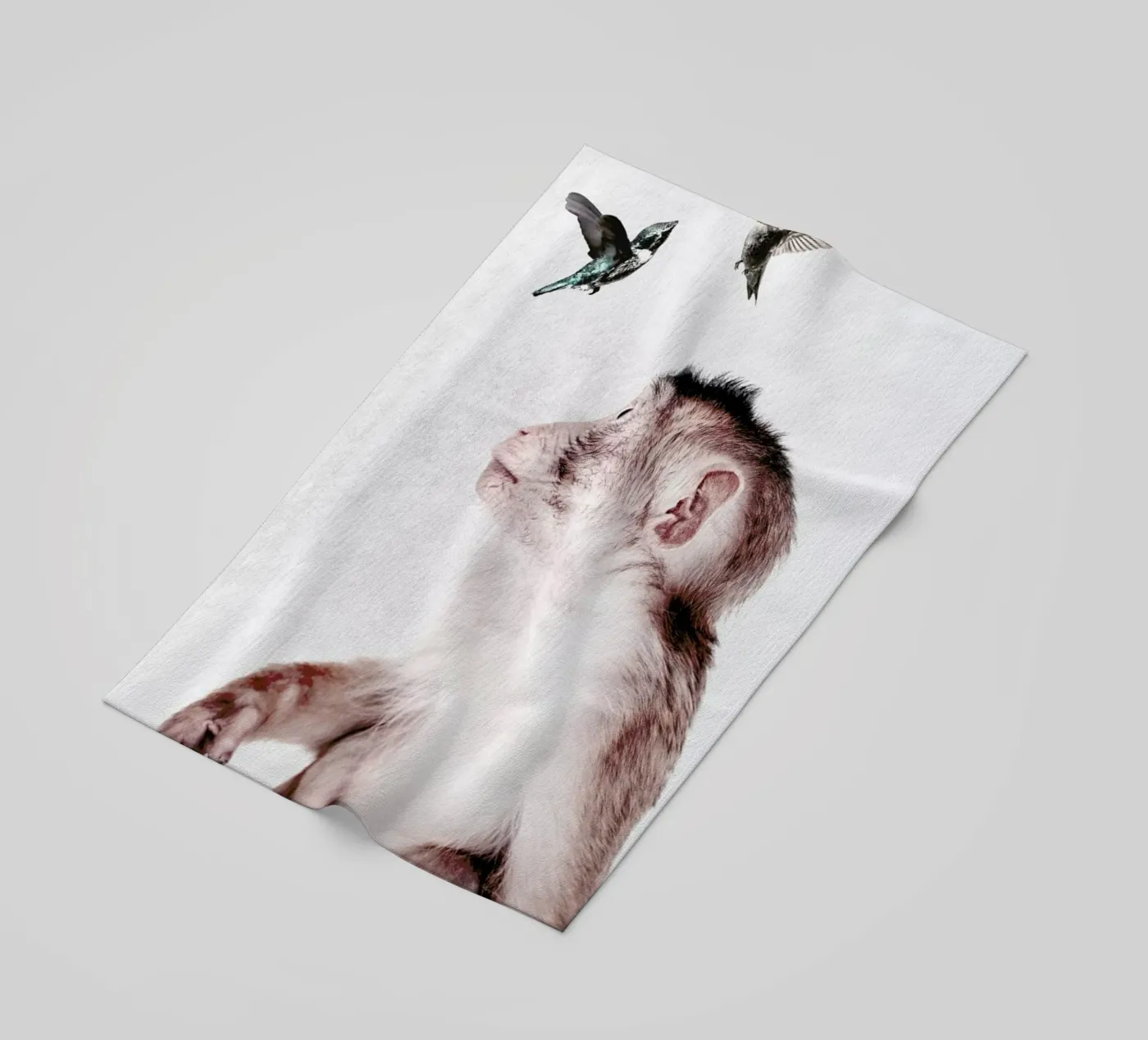 Little Monkey telo mare da Wouter Rikken