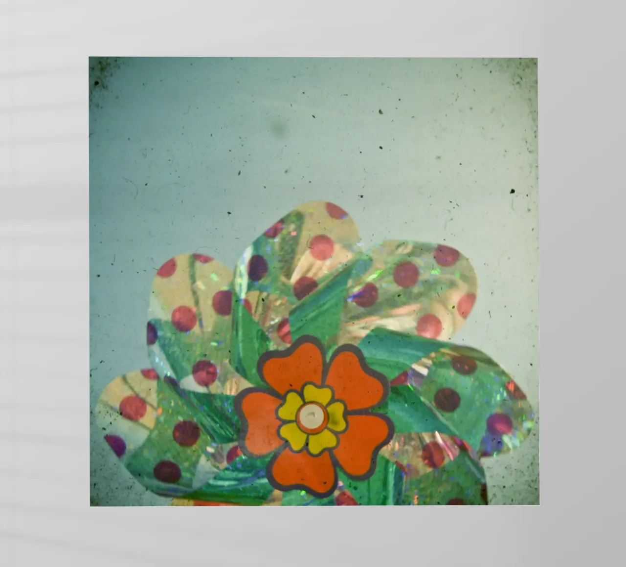 Il fiore d'argento pellicola backlit da Cassia Beck Photography