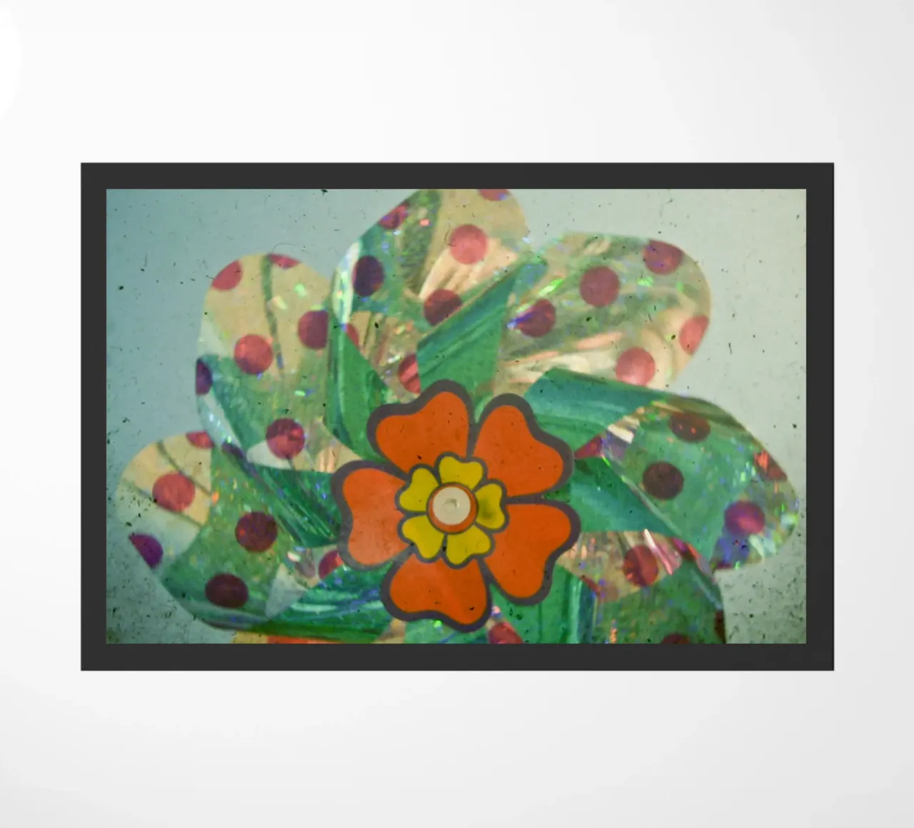 Il fiore d'argento zerbino da Cassia Beck Photography