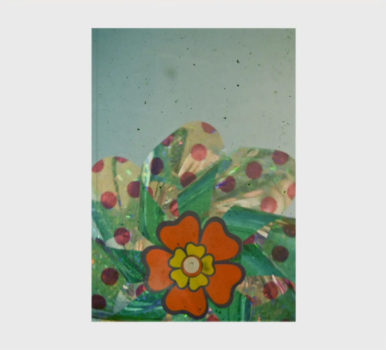 Il fiore d'argento diario da Cassia Beck Photography