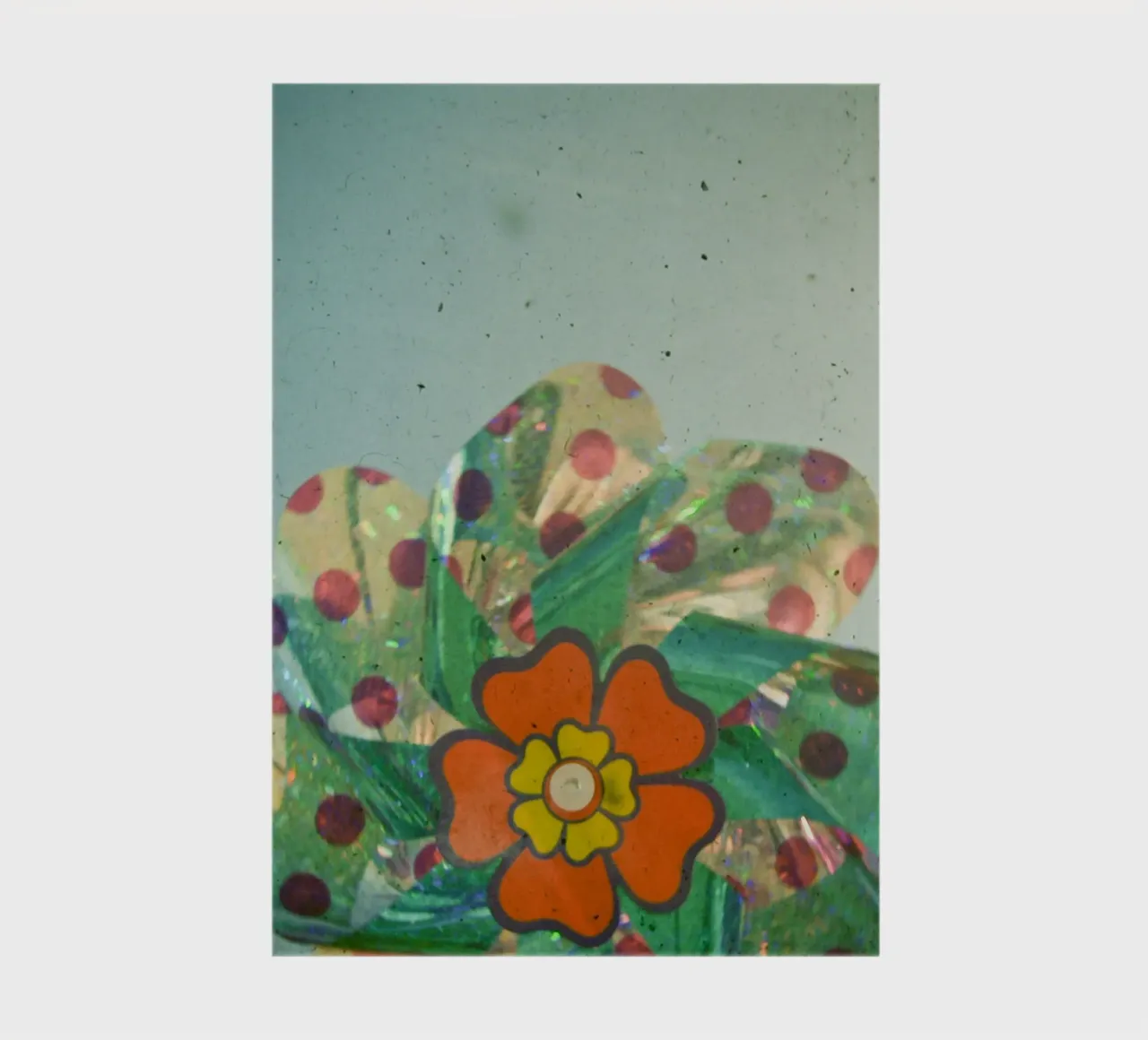 Il fiore d'argento diario da Cassia Beck Photography