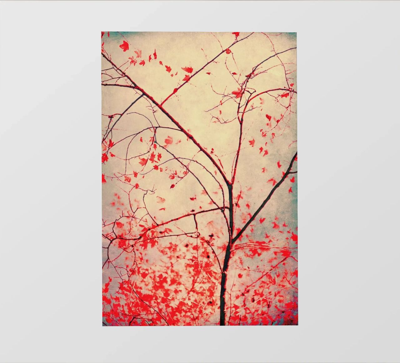 Red October pellicola backlit da Ingrid Beddoes