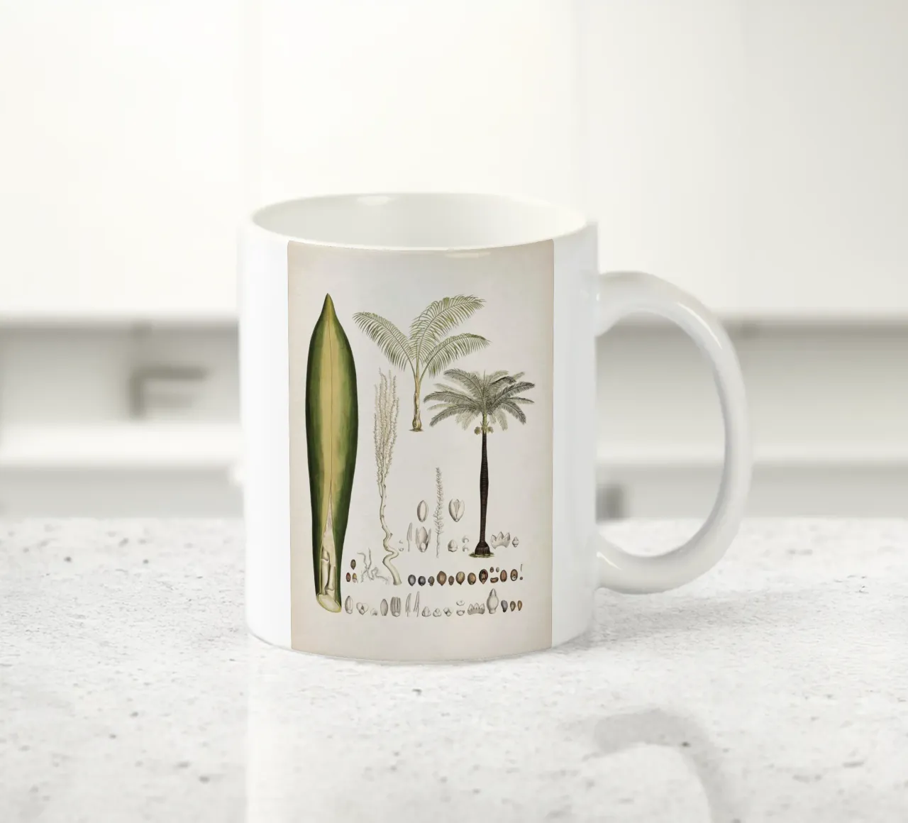Vintage Martius 5 Cocos Oreodoxa tazza in ceramica da Vintage Print Collection