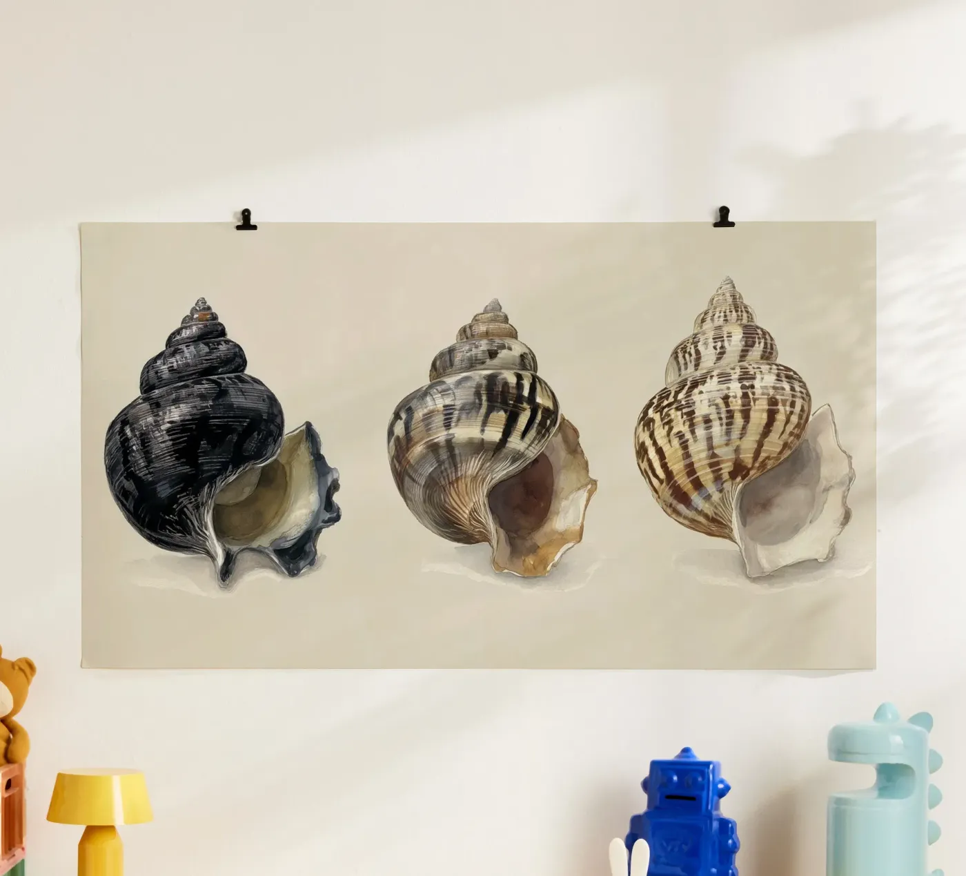 Étude de la coquille tonale poster de Matthias Keller Studio