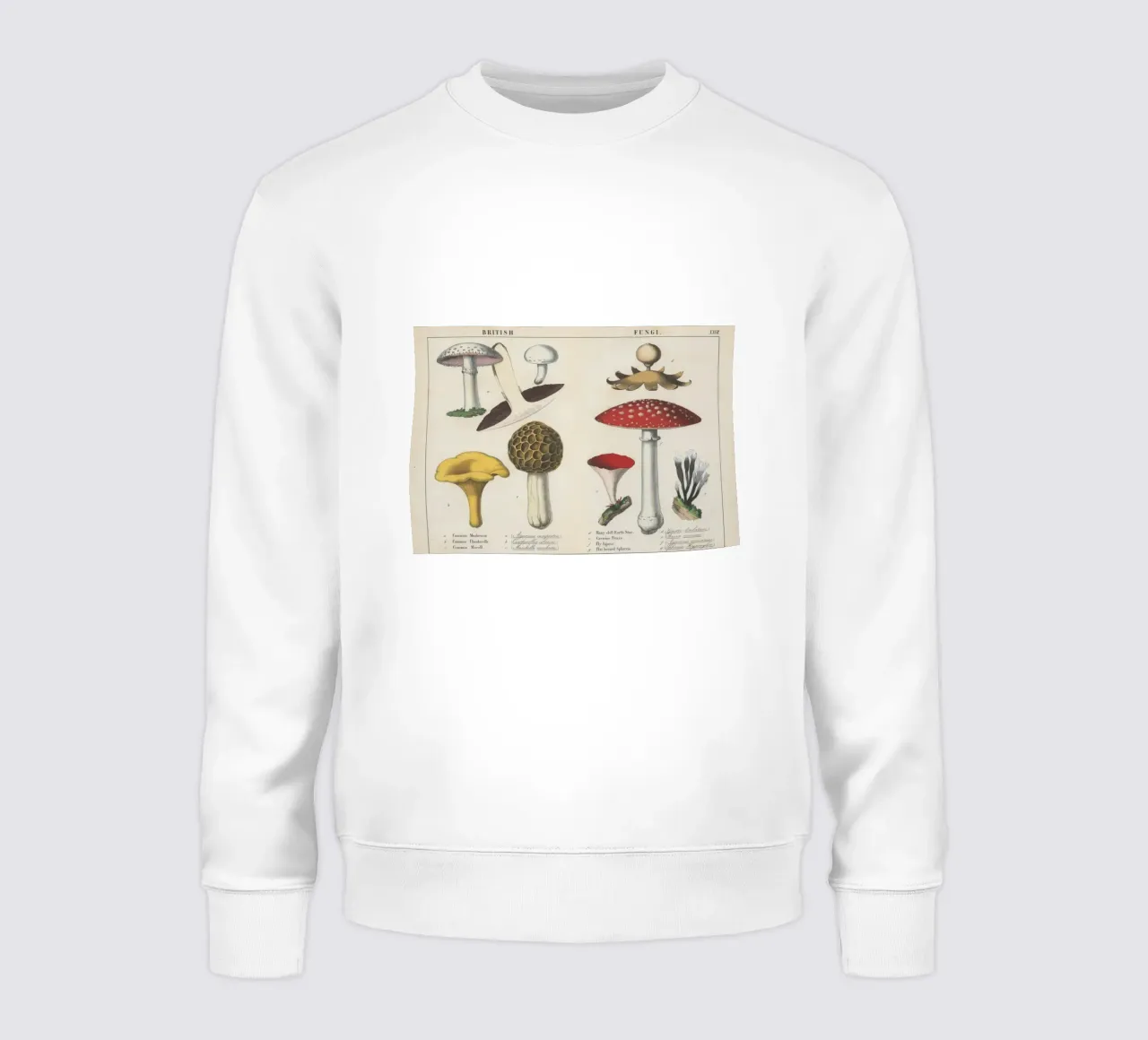 British Fungi Vintage Illustration - Mushroom Botanical Art sweatshirt by ClubArt