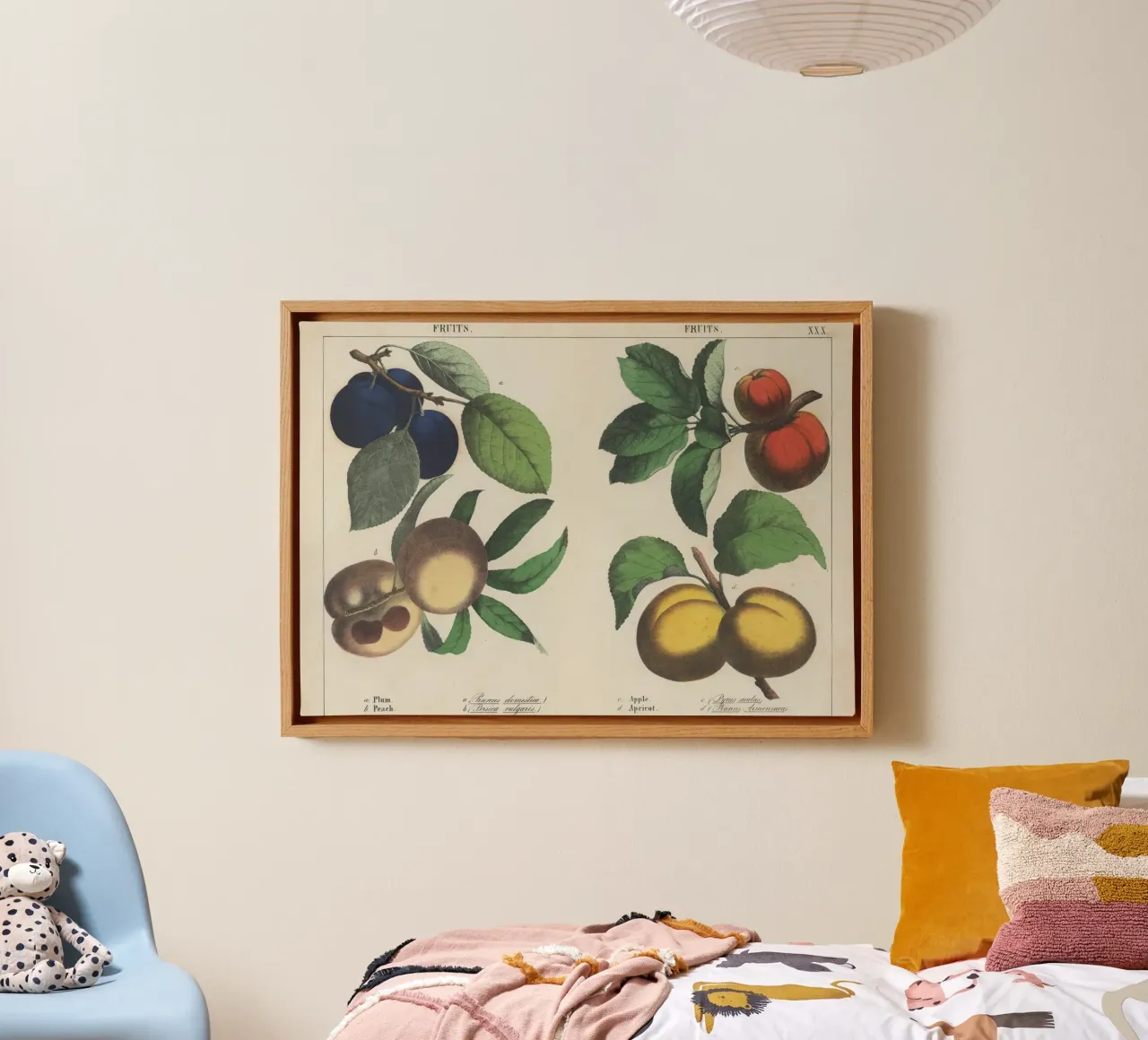 Vintage Fruit Botanical Print - Plum, Peach, Apple, Apricot canvas with Floater frame by ClubArt