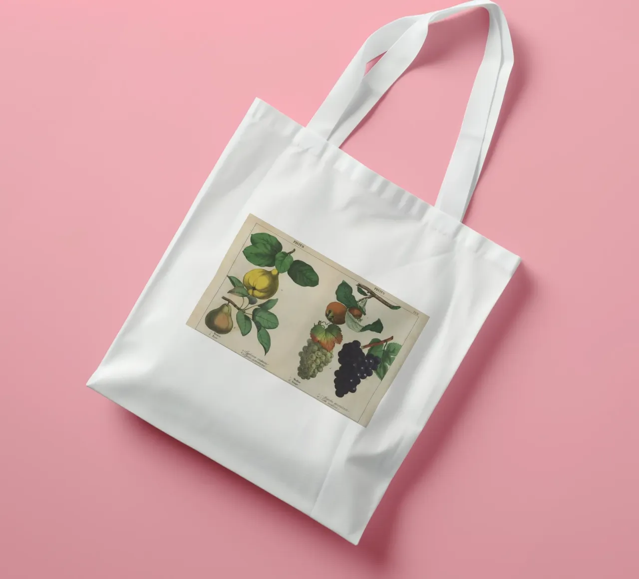 Stampa botanica di frutta d'epoca - Cotogna, pera, nespola, uva borsa in juta da ClubArt