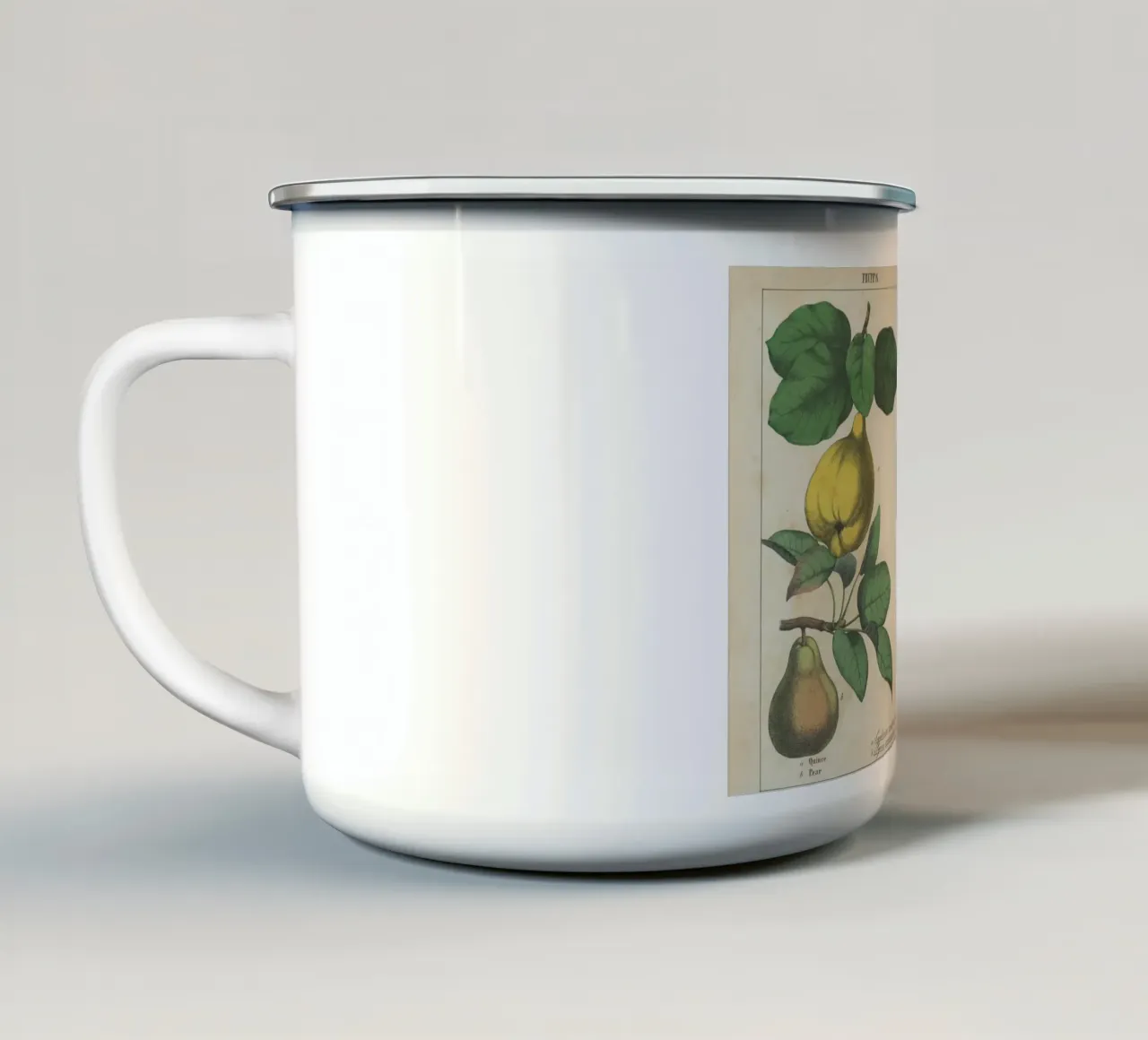 Stampa botanica di frutta d'epoca - Cotogna, pera, nespola, uva tazza in smalto da ClubArt