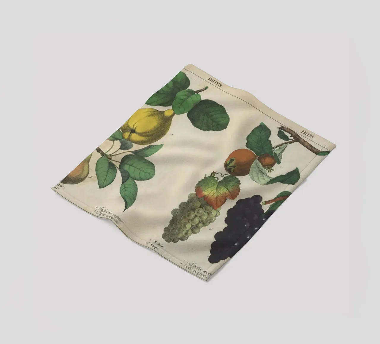 Stampa botanica di frutta d'epoca - Cotogna, pera, nespola, uva coperta in pile da ClubArt