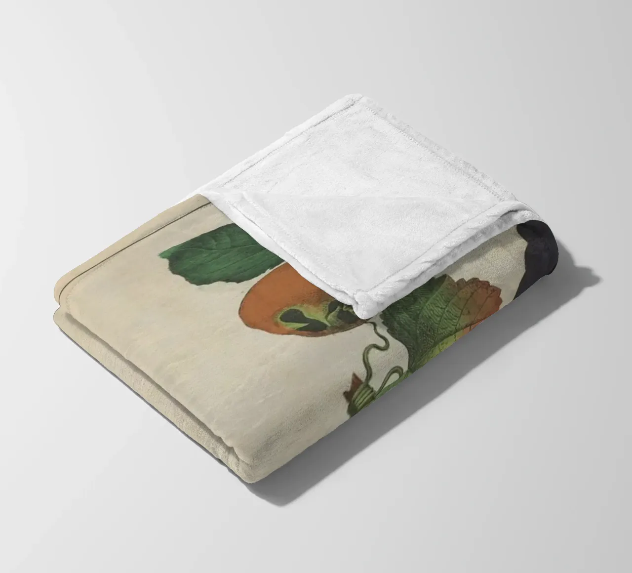 Stampa botanica di frutta d'epoca - Cotogna, pera, nespola, uva coperta in pile da ClubArt