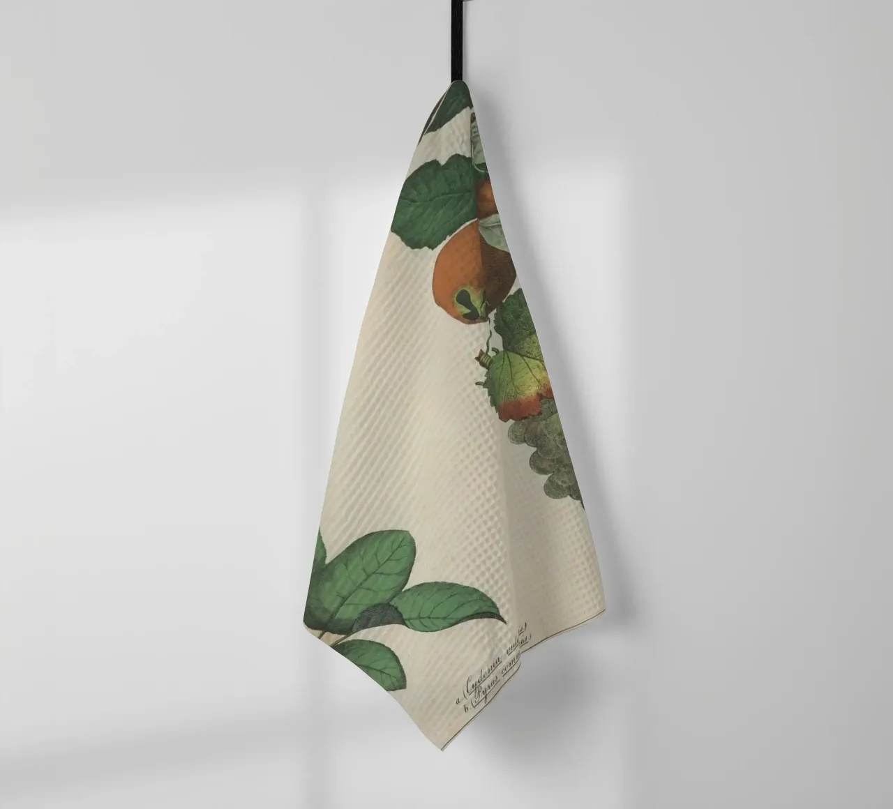 Stampa botanica di frutta d'epoca - Cotogna, pera, nespola, uva canovaccio da cucina da ClubArt