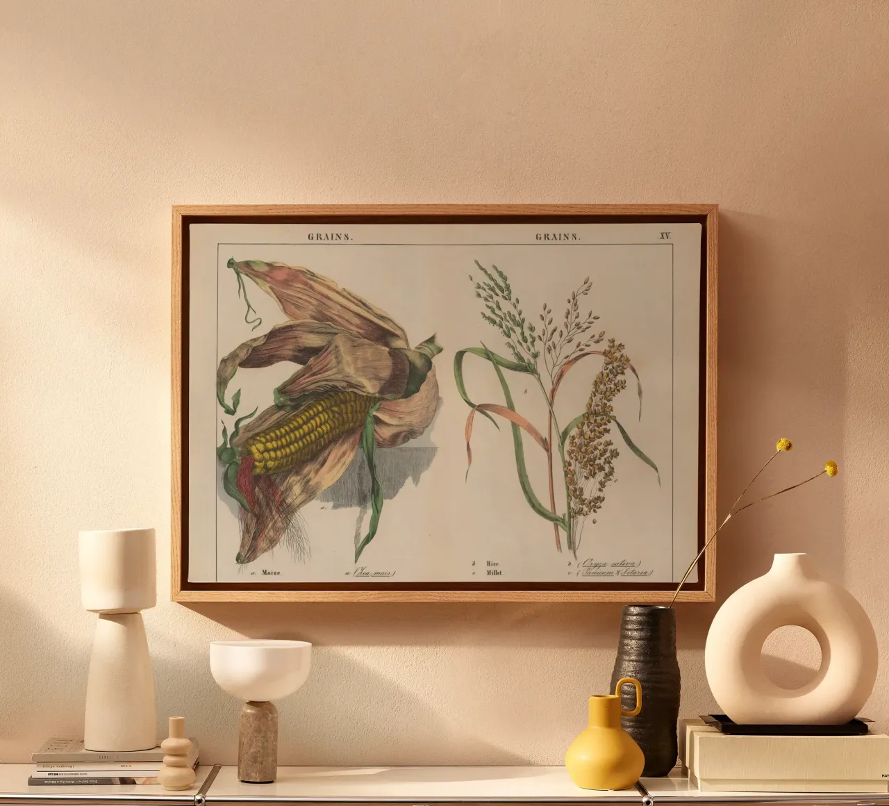 Vintage Grains Botanical Print - Maize, Rice, Millet Art canvas with Floater frame by ClubArt