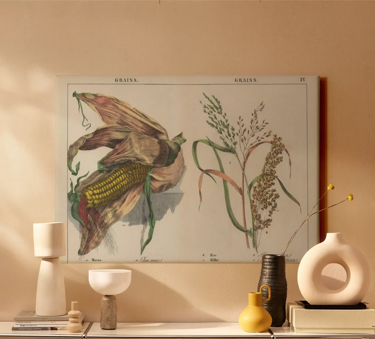 Vintage Grains Botanical Print - Maize, Rice, Millet Art canvas with Floater frame by ClubArt