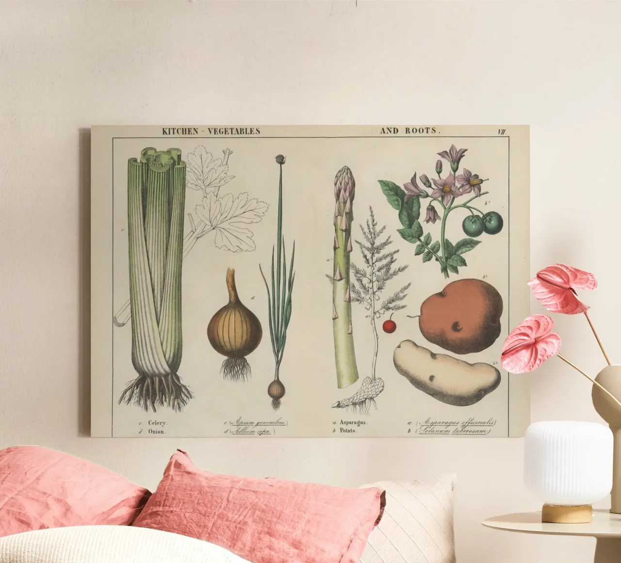 Vintage Keuken Groenten Botanisch - Selderij, Ui, Aardappel canvas met Baklijst van ClubArt