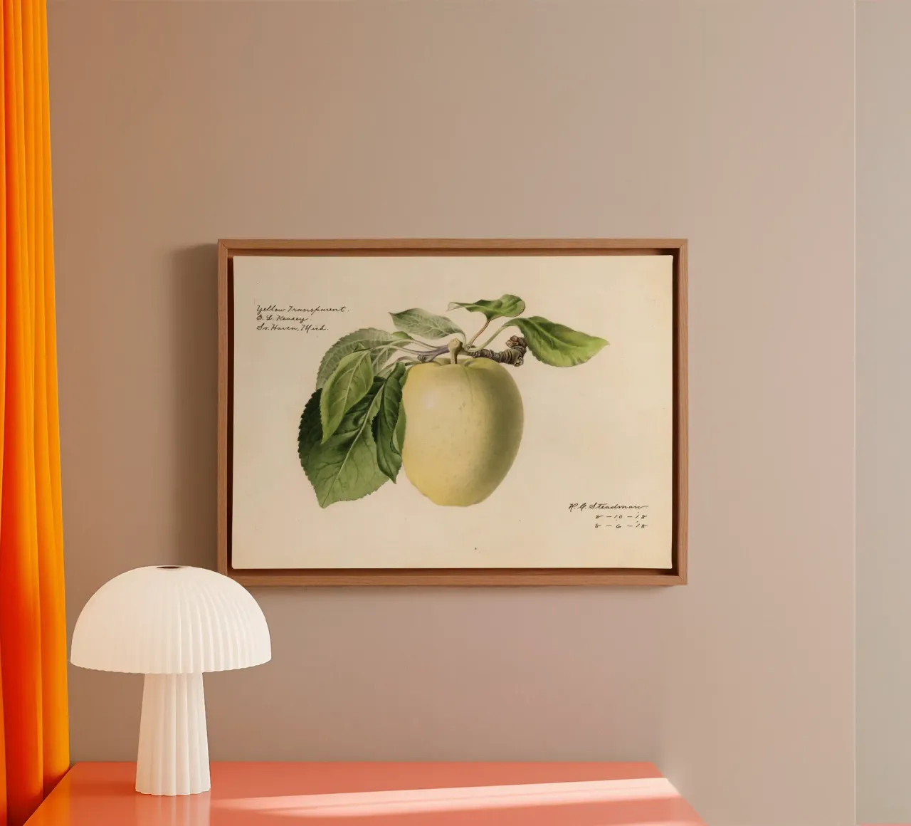 Gele transparante appel Botanisch - 1918 Steadman canvas met Baklijst van ClubArt