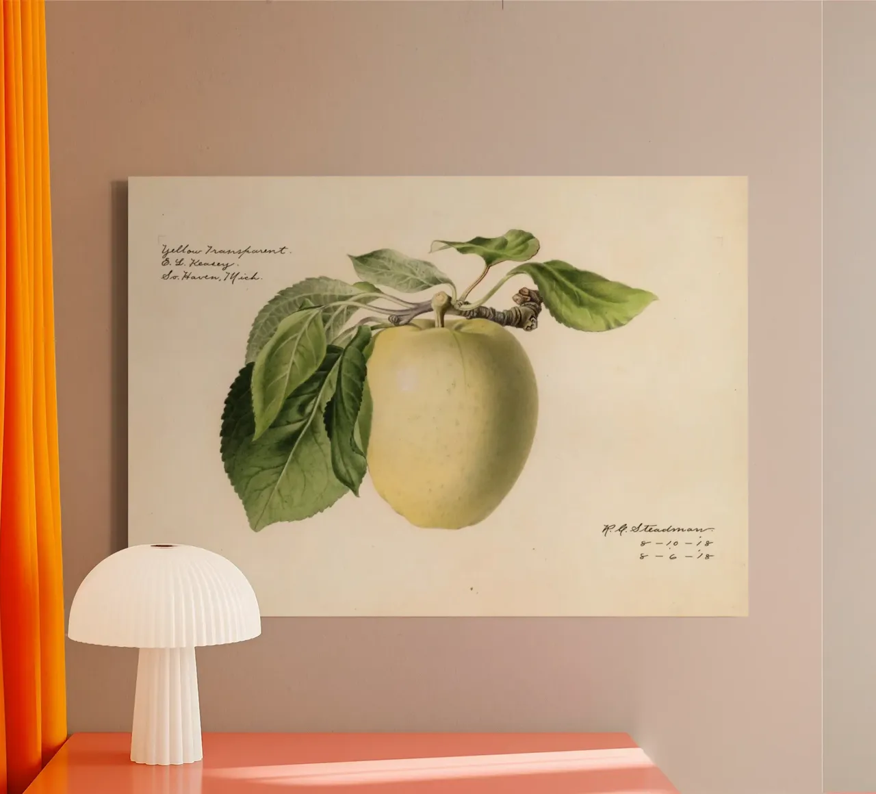 Gele transparante appel Botanisch - 1918 Steadman canvas met Baklijst van ClubArt