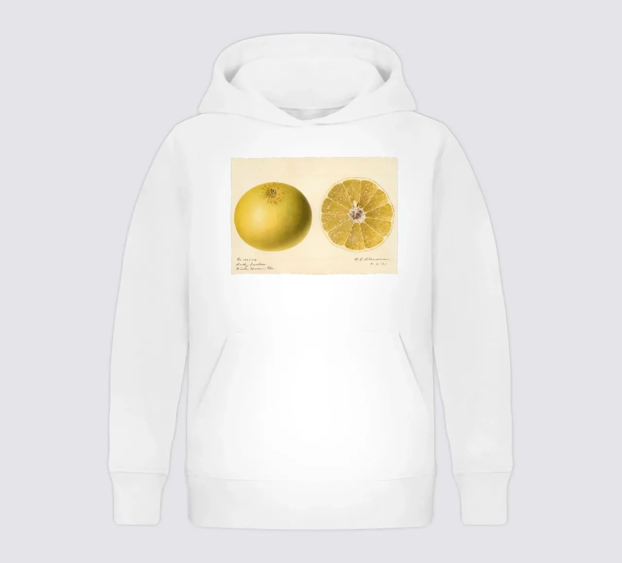 Dorthy Seedless Grapefruit Botanical Print - 1921 Art sudadera con capucha para niño de ClubArt