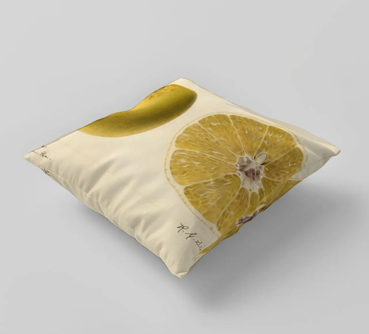 Dorthy Seedless Grapefruit Botanical Print - 1921 Art decorative cushion by ClubArt