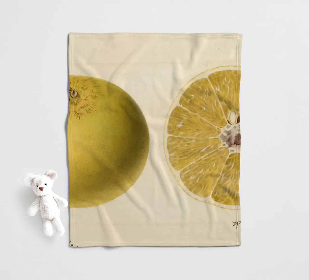 Dorthy Seedless Grapefruit Botanical Print - 1921 Art fleece blanket by ClubArt