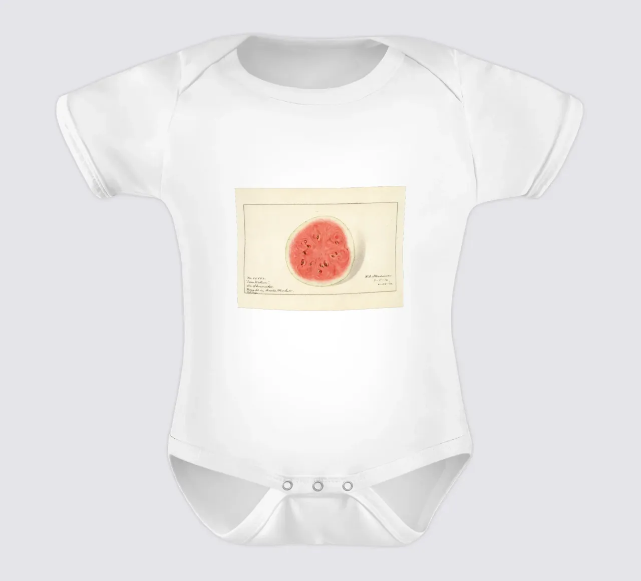 Tom Watson Wassermelone Botanischer Druck - 1916 Steadman Kurzarm Babybody von ClubArt