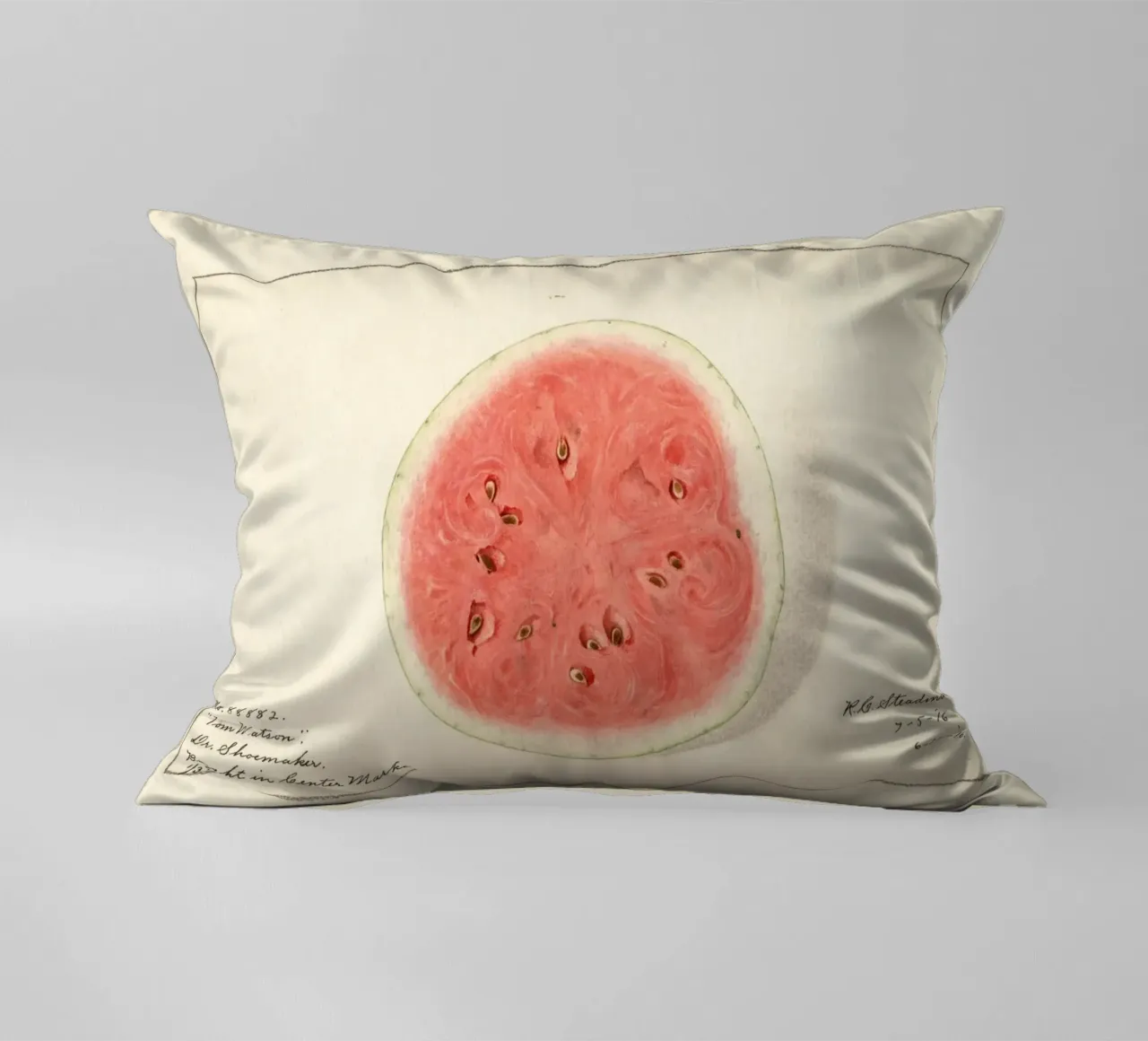 Tom Watson Watermelon Botanical Print - 1916 Steadman decorative cushion by ClubArt
