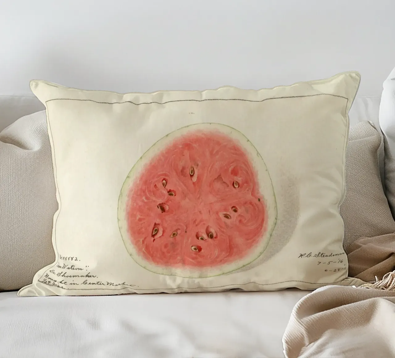 Tom Watson Watermelon Botanical Print - 1916 Steadman decorative cushion by ClubArt