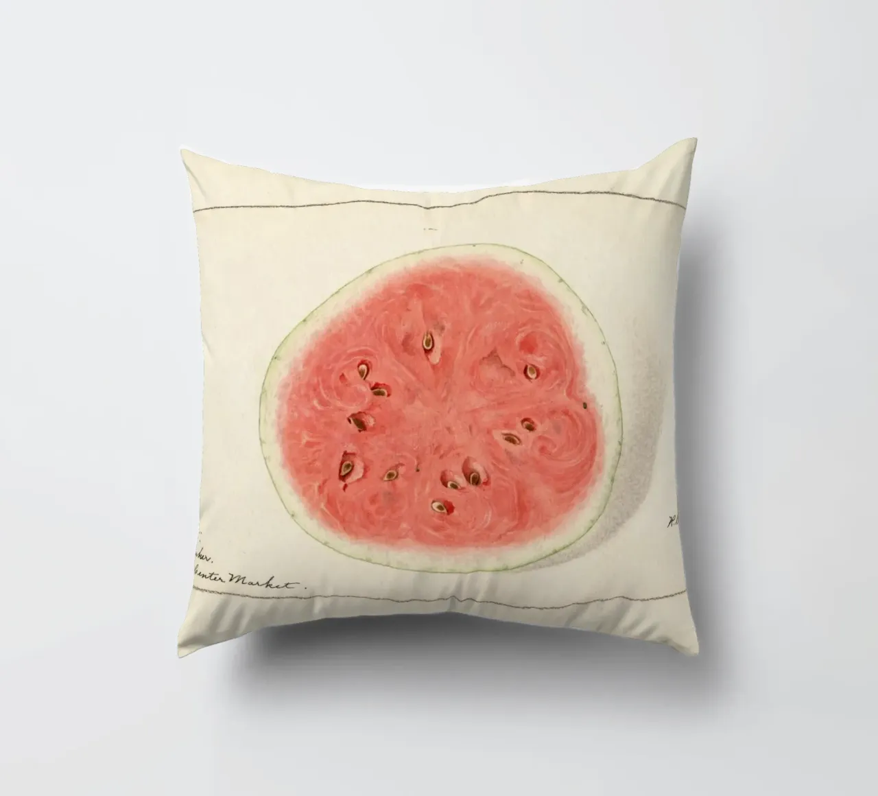Tom Watson Watermelon Botanical Print - 1916 Steadman decorative cushion by ClubArt