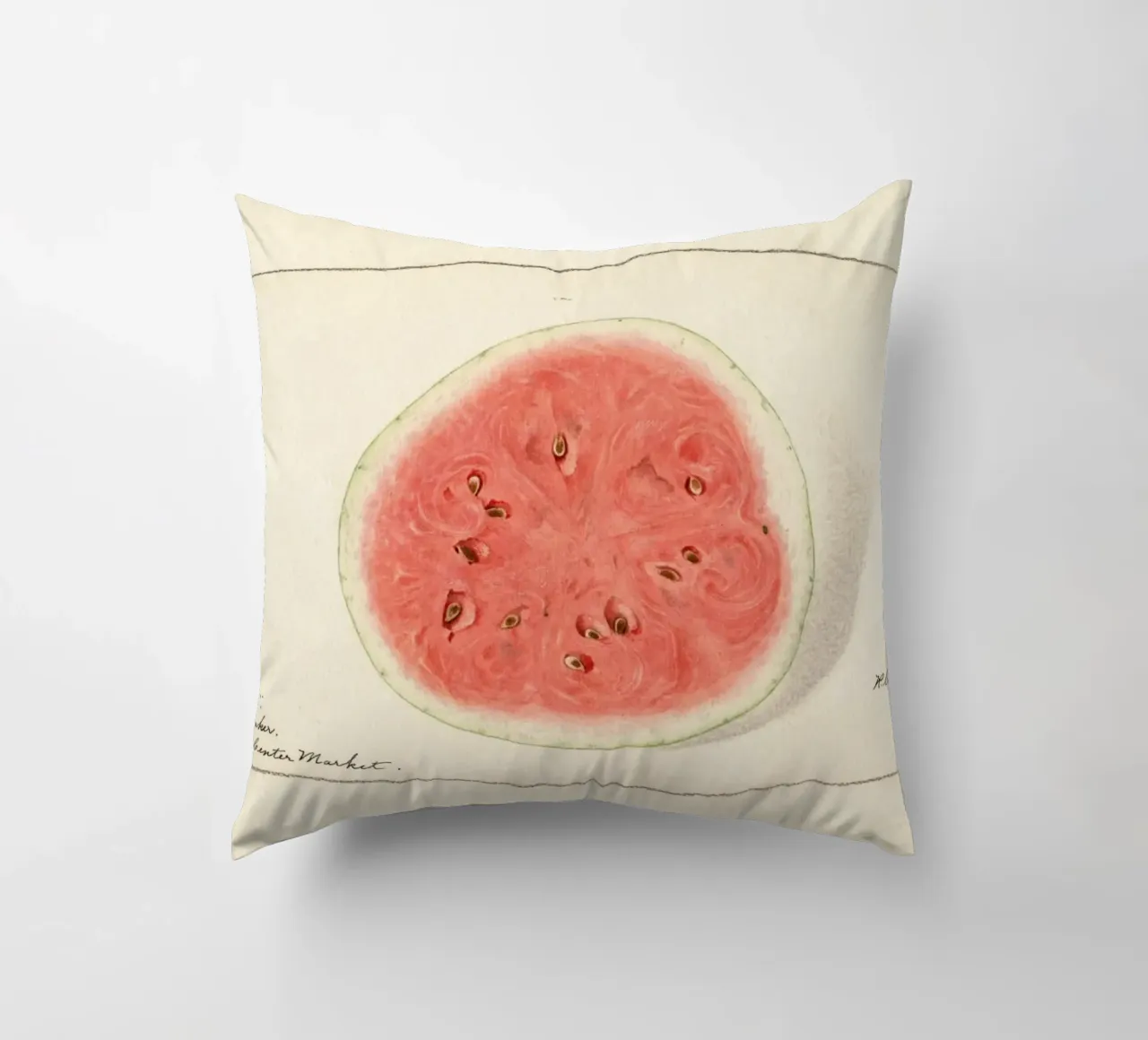 Tom Watson Watermelon Botanical Print - 1916 Steadman decorative cushion by ClubArt