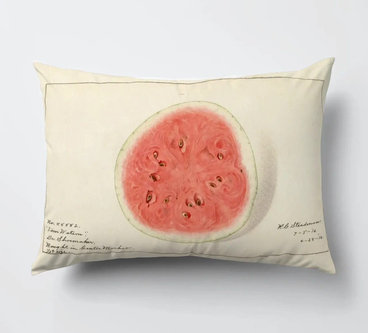 Tom Watson Watermelon Botanical Print - 1916 Steadman decorative cushion by ClubArt