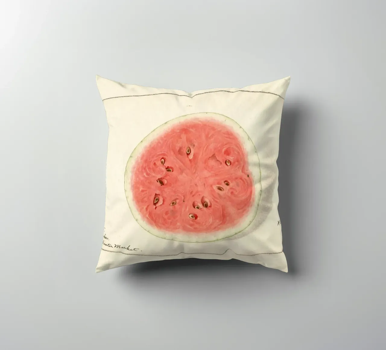 Tom Watson Watermelon Botanical Print - 1916 Steadman decorative cushion by ClubArt