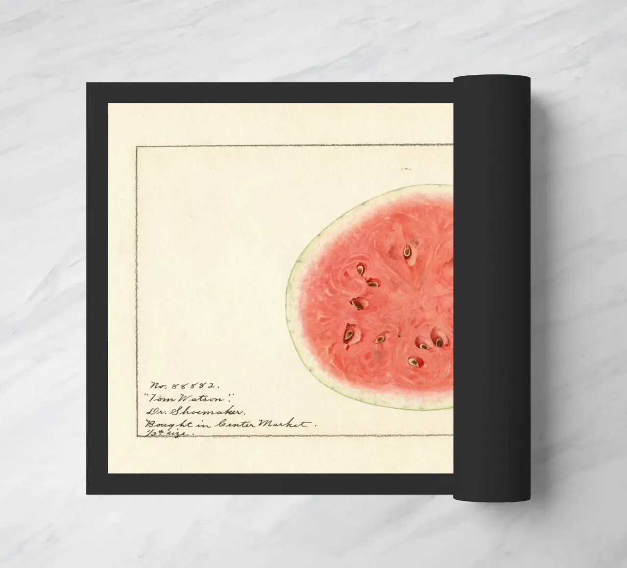 Tom Watson Watermelon Botanical Print - 1916 Steadman doormat by ClubArt