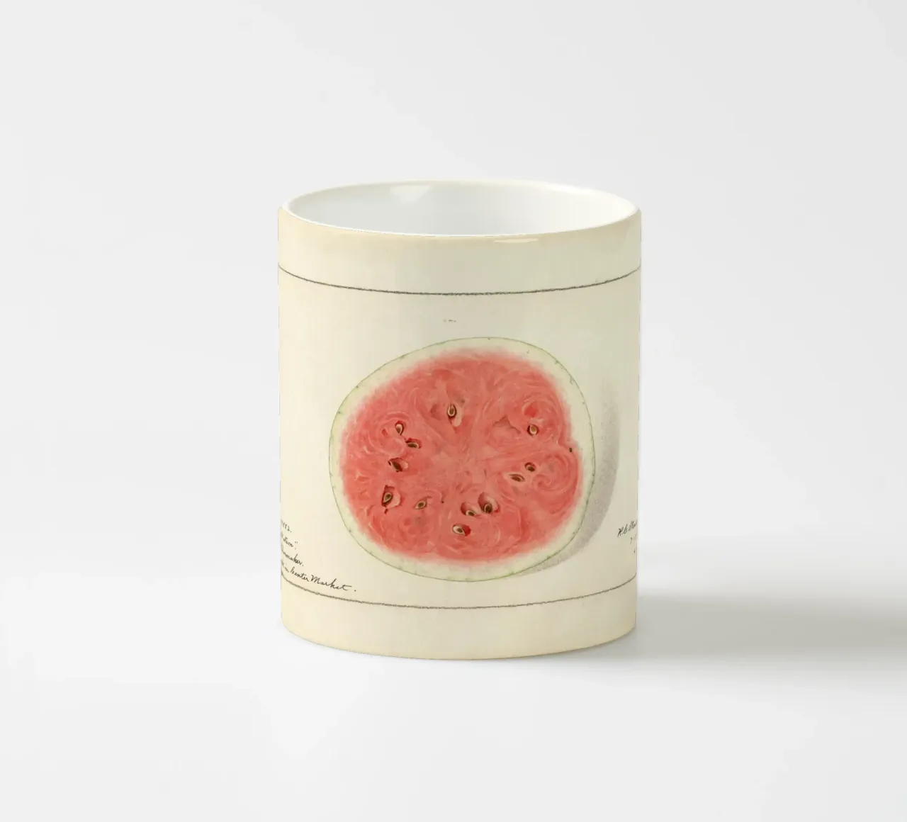 Tom Watson Watermelon Botanical Print - 1916 Steadman ceramic mug by ClubArt
