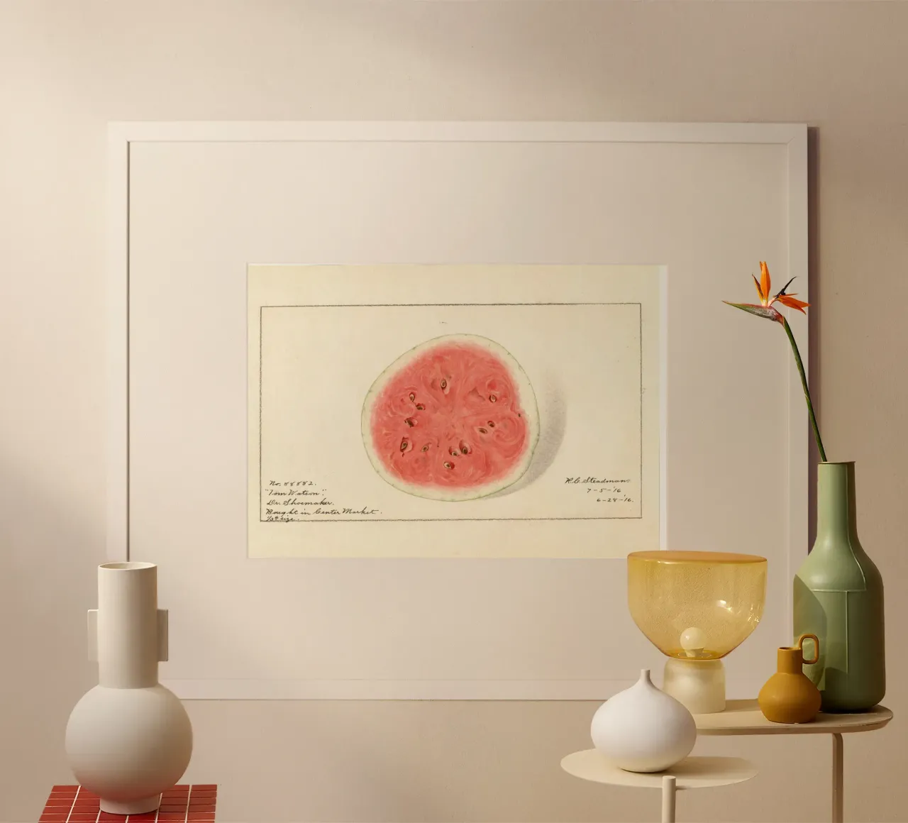 Tom Watson Wassermelone Botanischer Druck - 1916 Steadman Hahnemühle von ClubArt