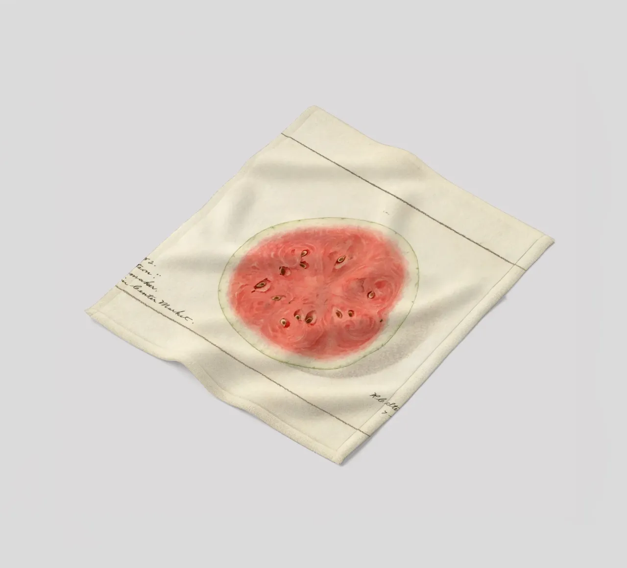 Tom Watson Watermelon Botanical Print - 1916 Steadman fleece blanket by ClubArt