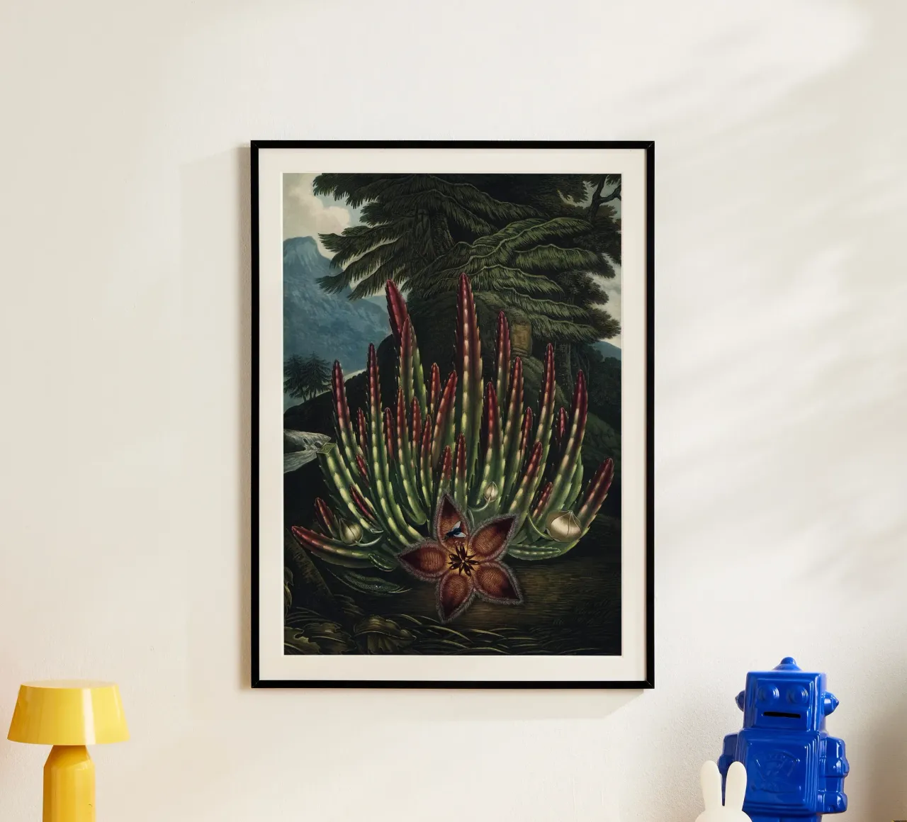Vintage Thornton 2 Maggot Stapelia poster con telaio in alluminio da Vintage Print Collection